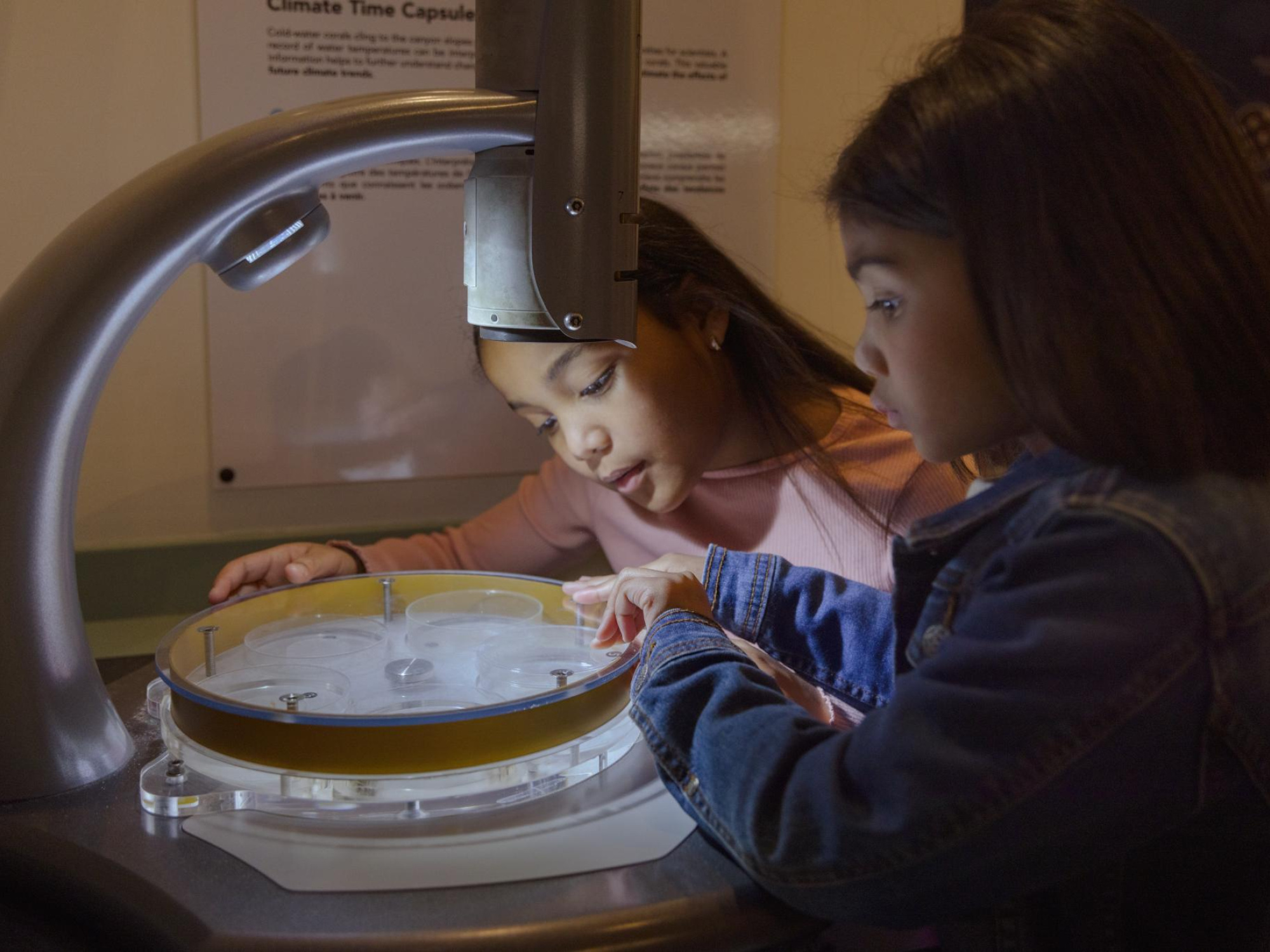 Children viewing a museum exhibit